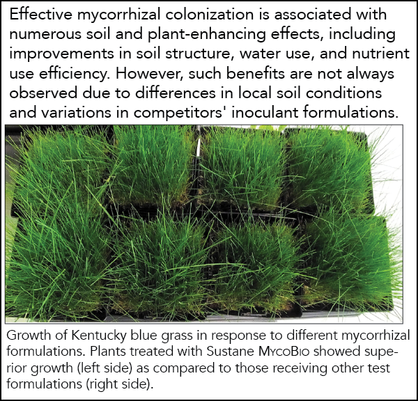 Bolster MycoBio trial image for turf and landscape applications