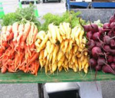 Brian Swan, Organic Farm, Bermuda