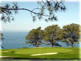 Aerification Recovery, San Diego