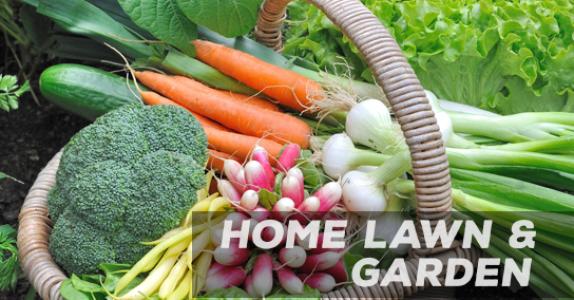 Suståne Organic Products for Retail